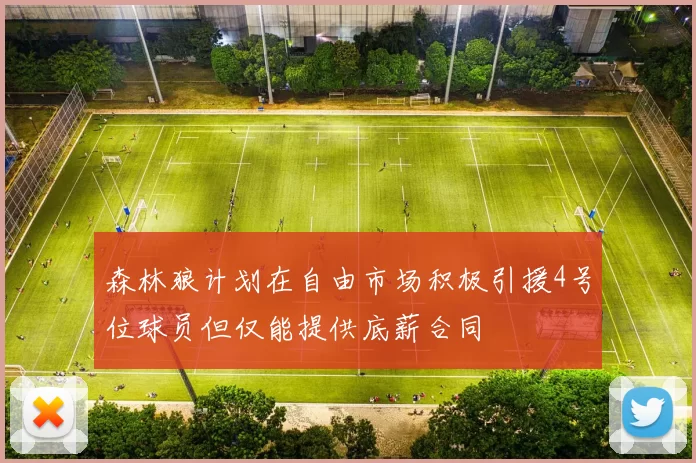 森林狼计划在自由市场积极引援4号位球员但仅能提供底薪合同